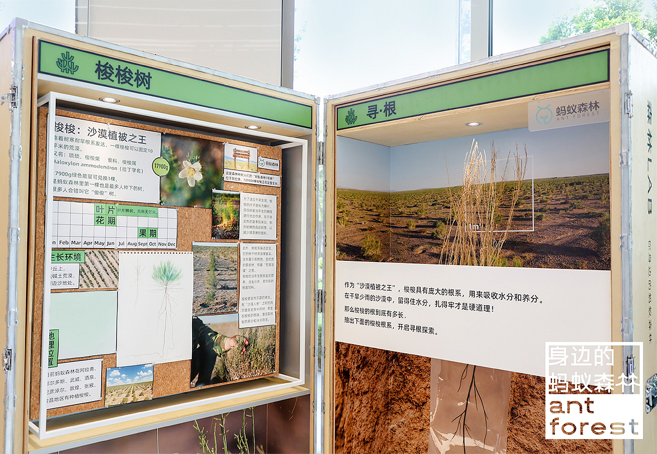 森林LAB 你身边的蚂蚁森林(图ZMjg3Mzk4Mzg0) - 展陈设计 - 站酷设计师不是美术馆原创素材 - 站酷ZCOOL