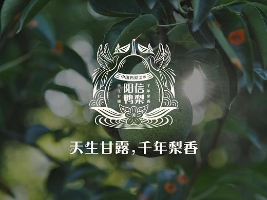 阳信鸭梨-品牌设计