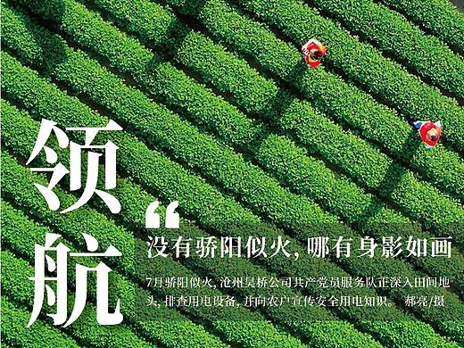 国网迎风度夏海报