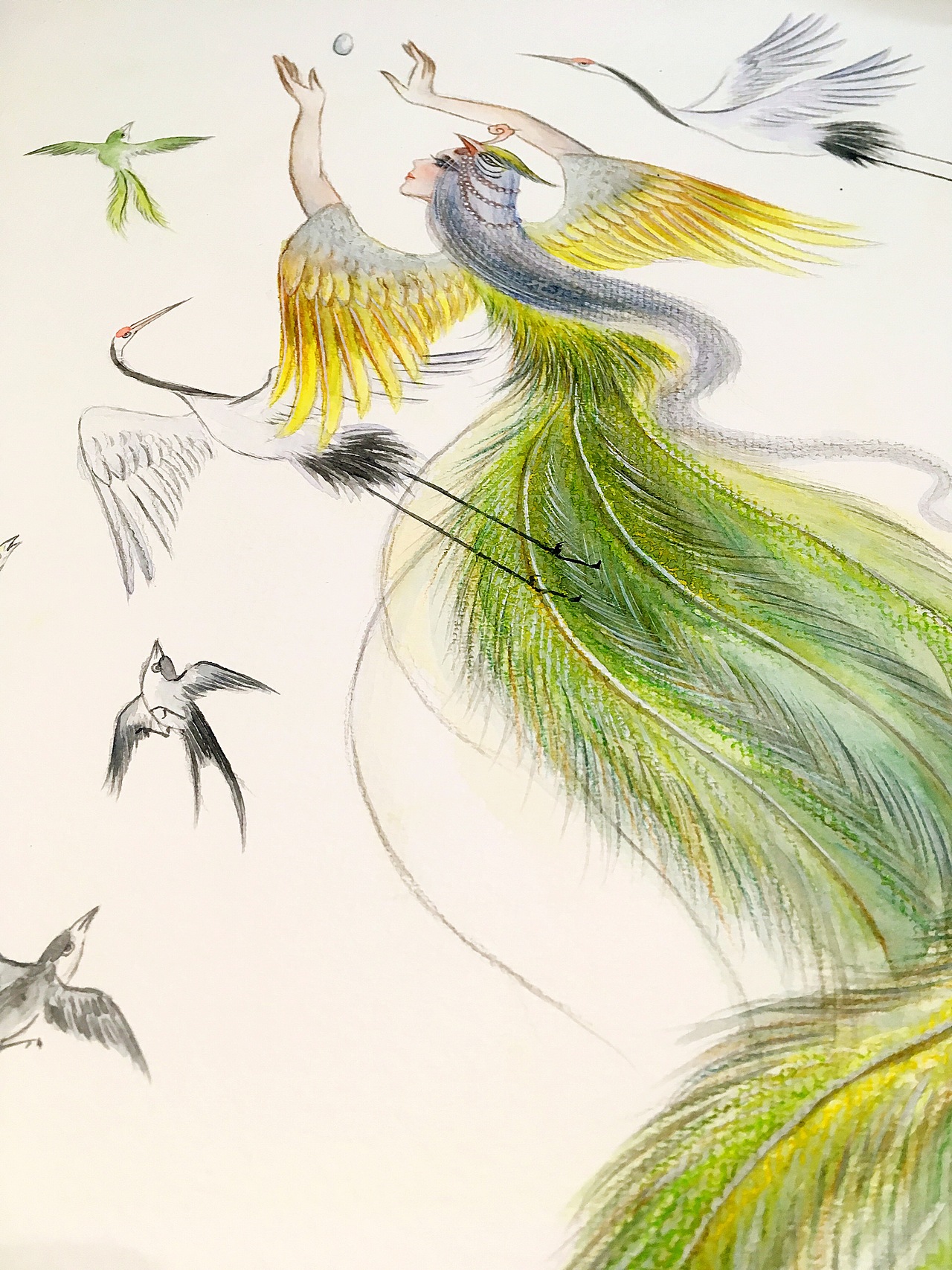 水彩插画(凤仙)（图ZMTE5ODMzNTI0） - 艺术插画 - 站酷设计师画师云木原创素材 - 站酷ZCOOL