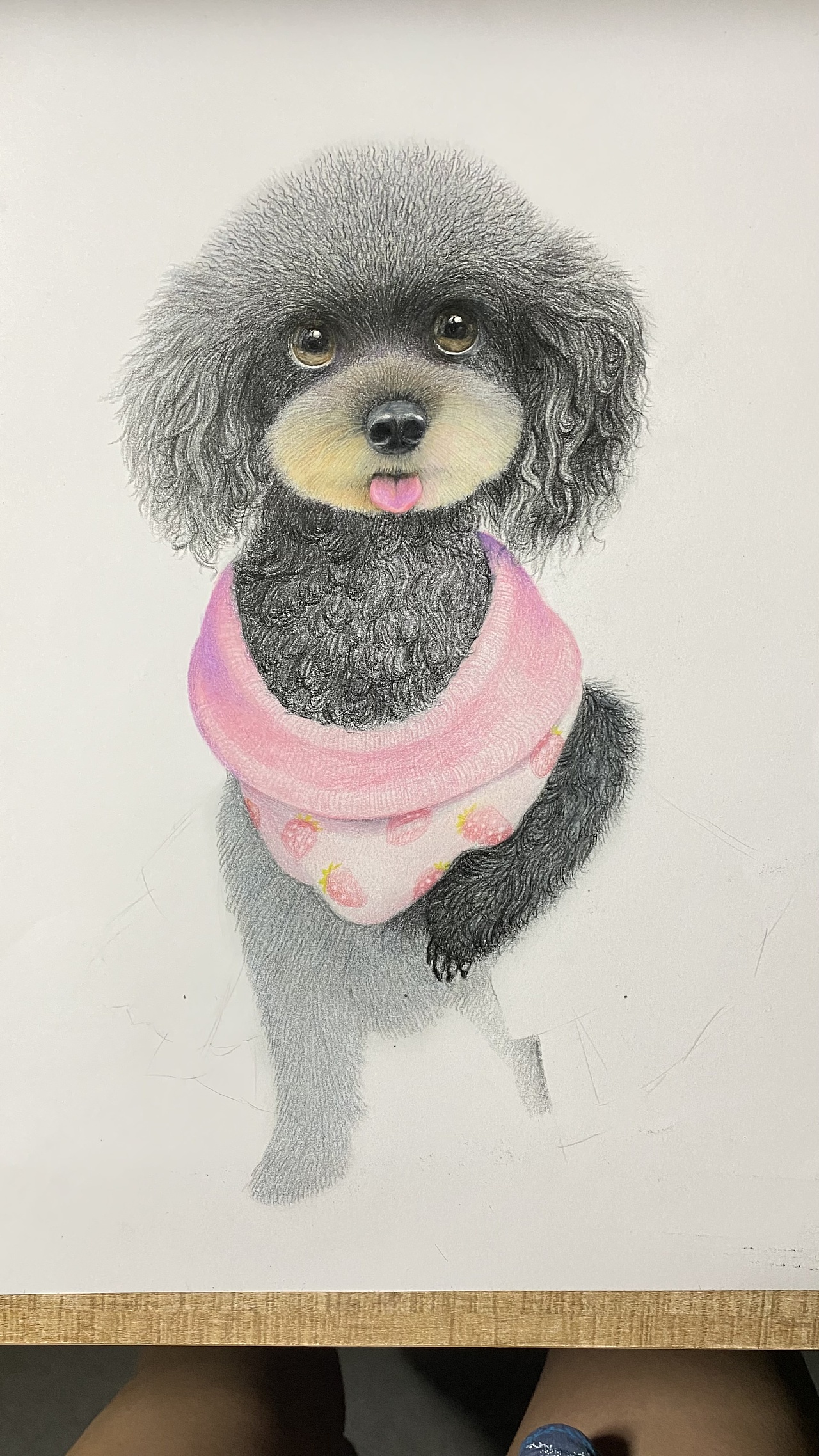 彩铅 狗狗|纯艺术|绘画|枭先森 - 原创作品 - 站酷 (zcool)