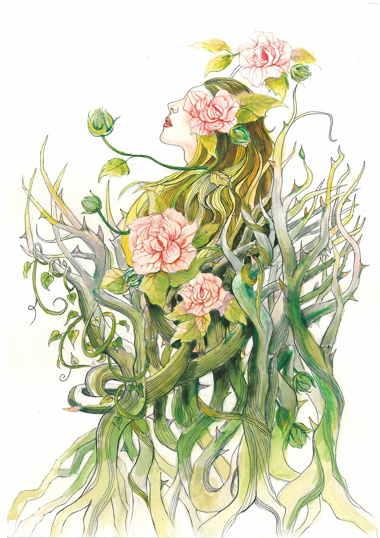 “生如夏花”泰戈尔诗集插画