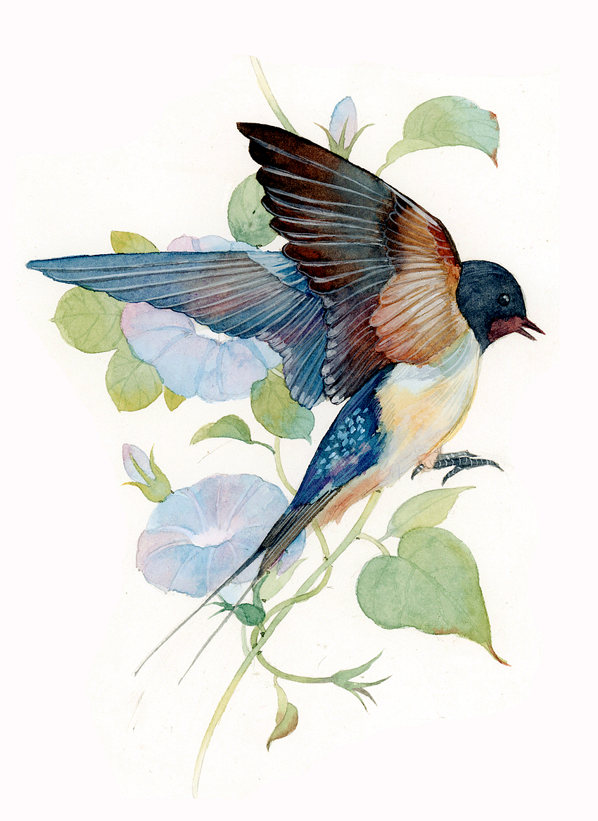 2019年终插画总结（图ZMTkxNDE0OTYw） - 商业插画 - 站酷设计师瑶背背原创素材 - 站酷ZCOOL