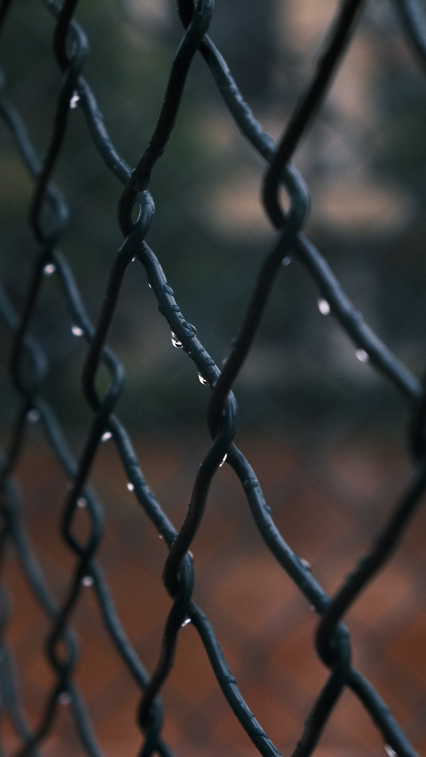 秋天- 秋雨一组氛围照