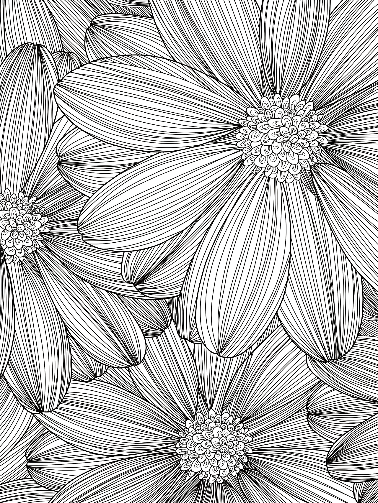 插画作品（图ZMjk1NDY2NTA0） - 商业插画 - 站酷设计师念清净原创素材 - 站酷ZCOOL