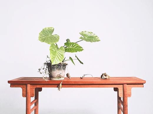 夹头榫平头案 Purewood Long Narrow Table