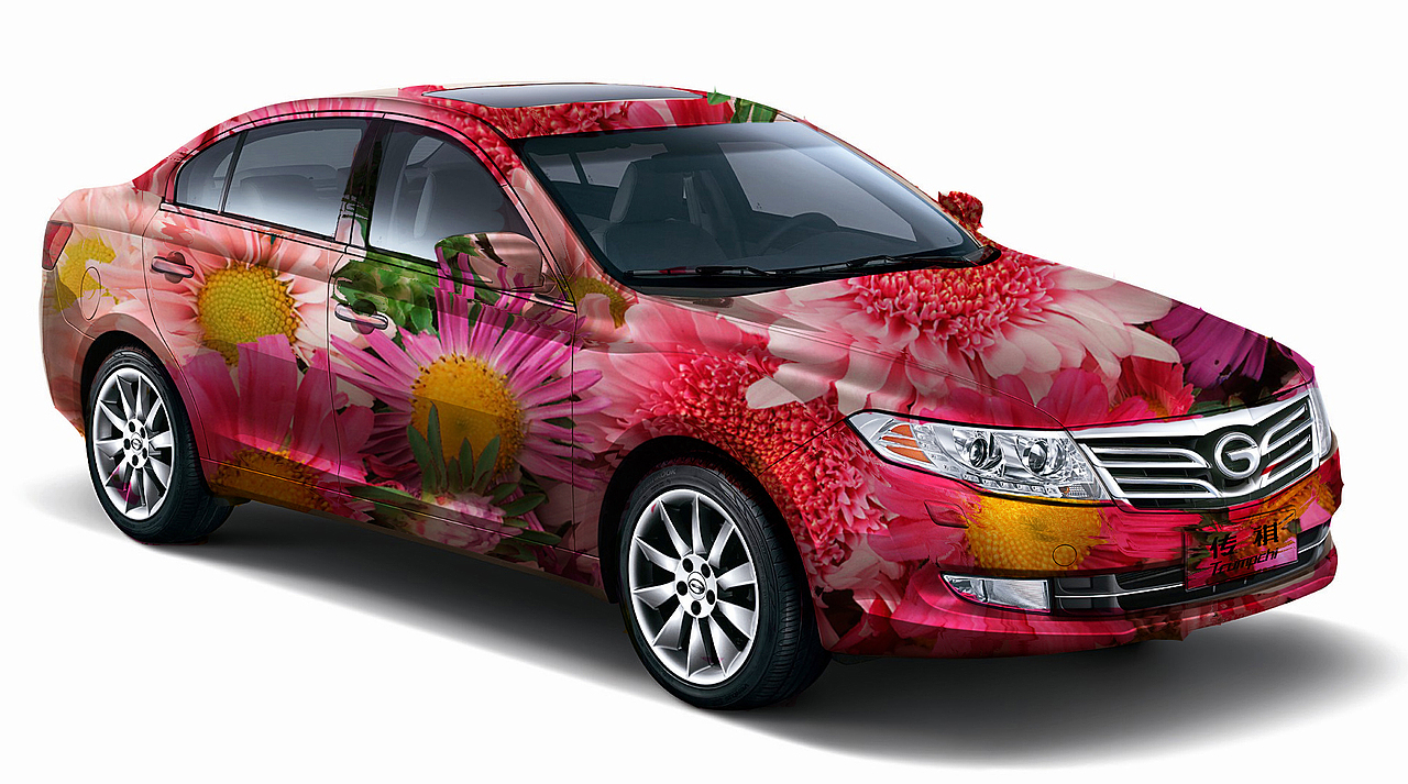 幻影灯泡鱼儿水 汽车