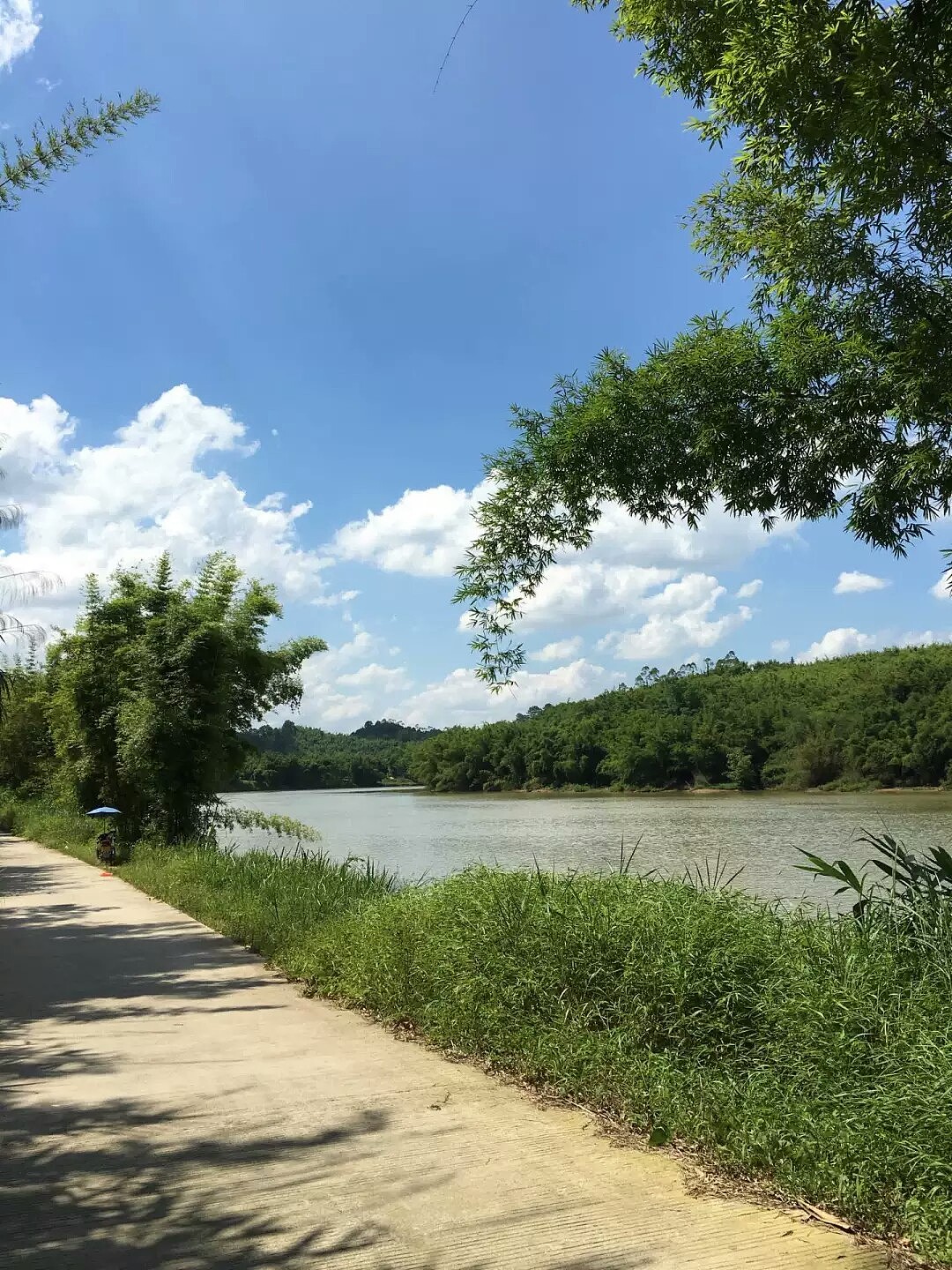 看着城市窗外美丽如画的风景依然不及家乡的乡村小路的风景美