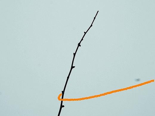 大卫-生命的清单