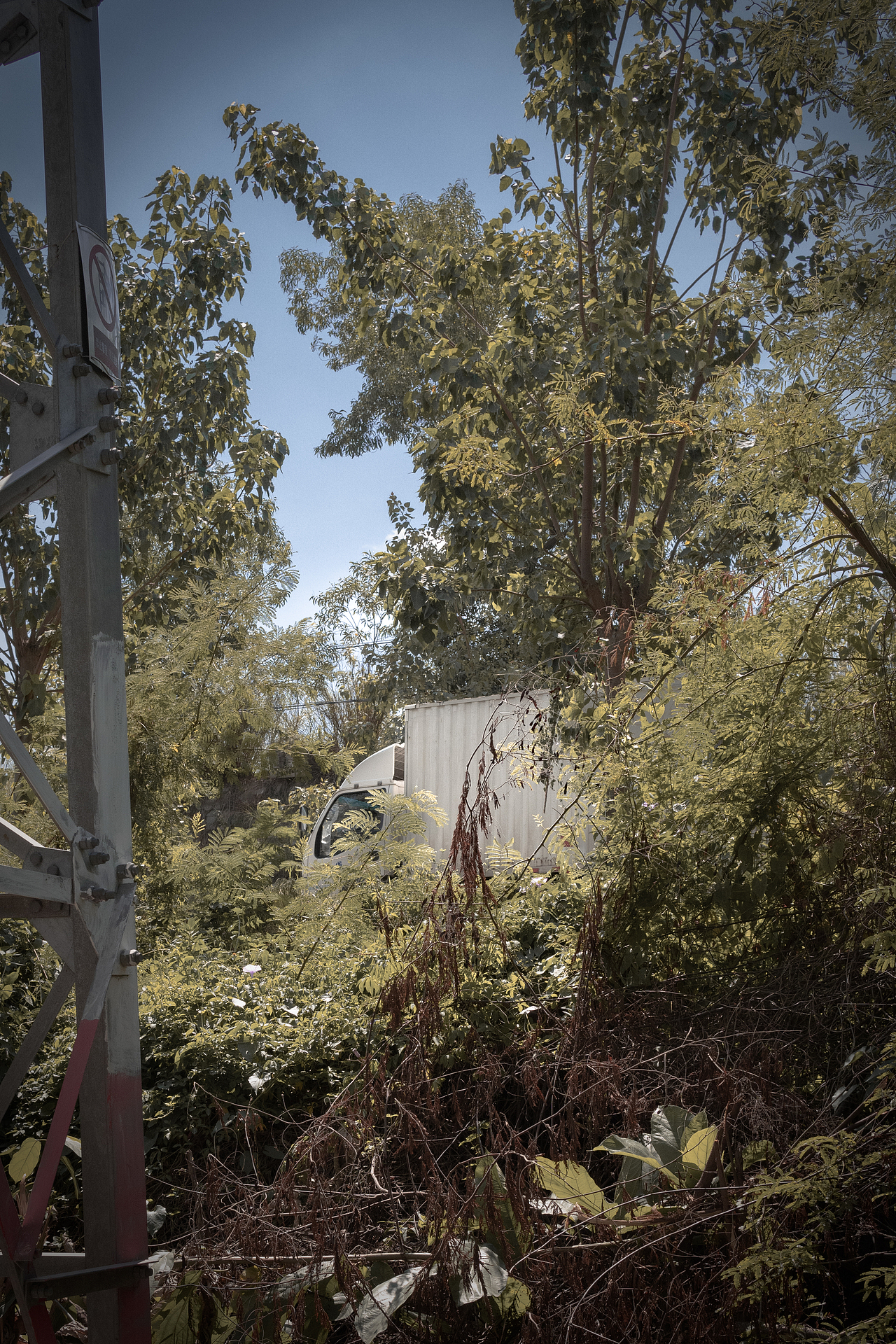 【风光摄影】寻找心目中最美家乡风景…