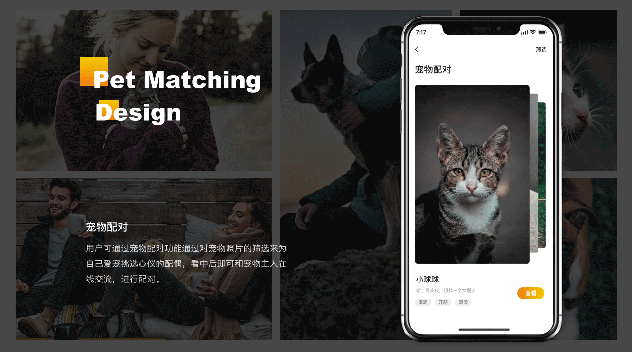 宠物App- UI