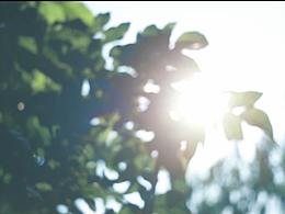 中國工商銀行私人銀行技能大賽視頻