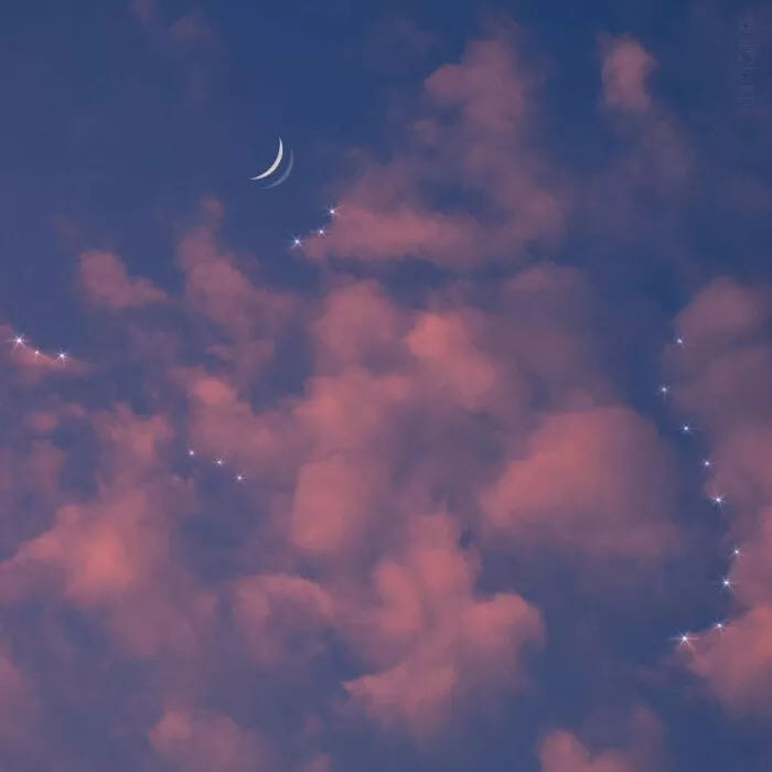 冬雪燕的个人主页（封面预览） - 主页封面设置 - 站酷设计师冬雪燕原创素材 - 站酷ZCOOL