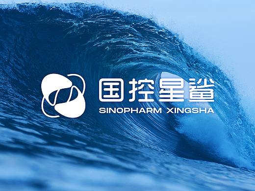 品牌设计 |「凭星而来·鲨耀新生」国控星鲨品牌升级