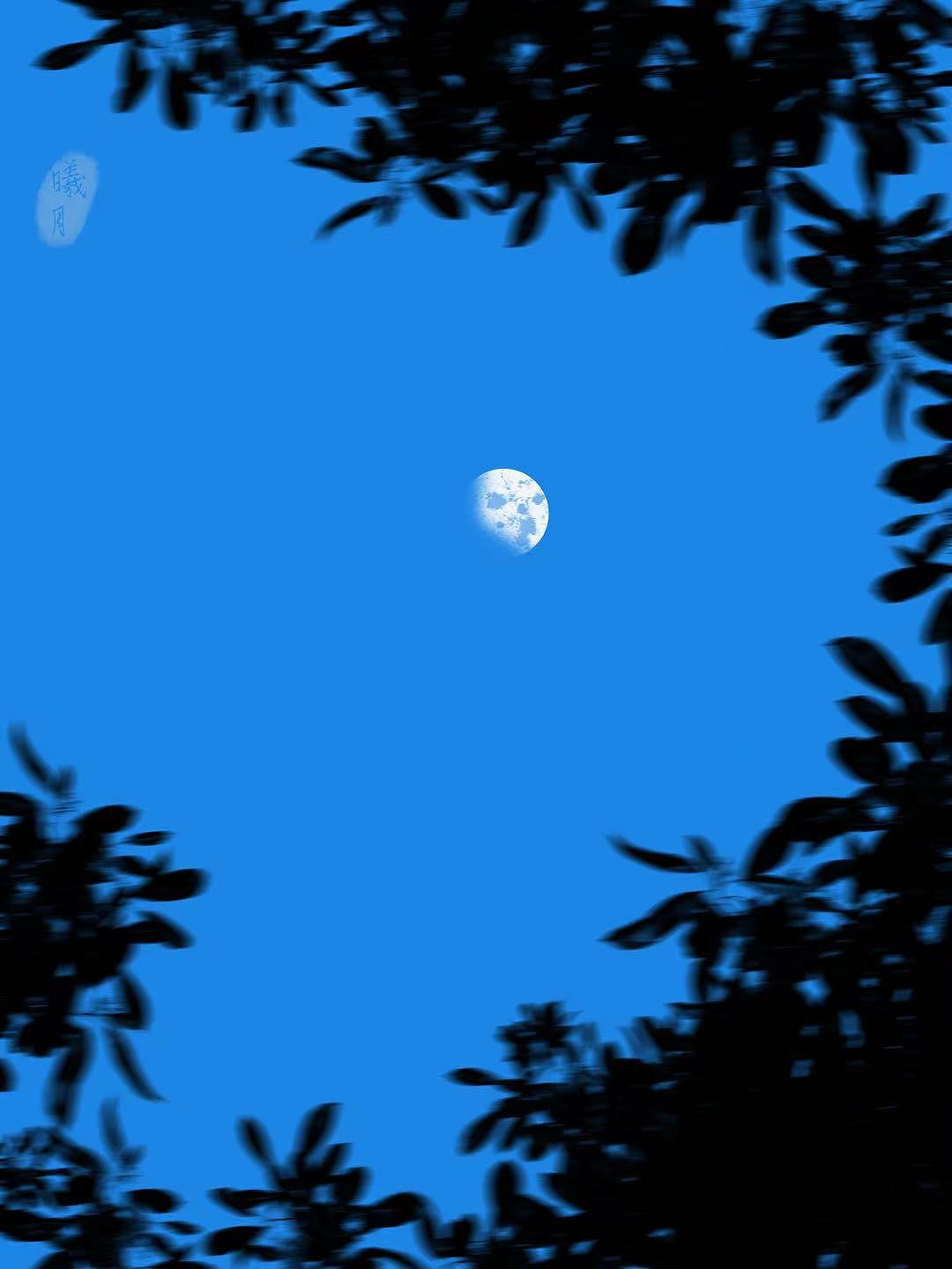 治愈系风景插画