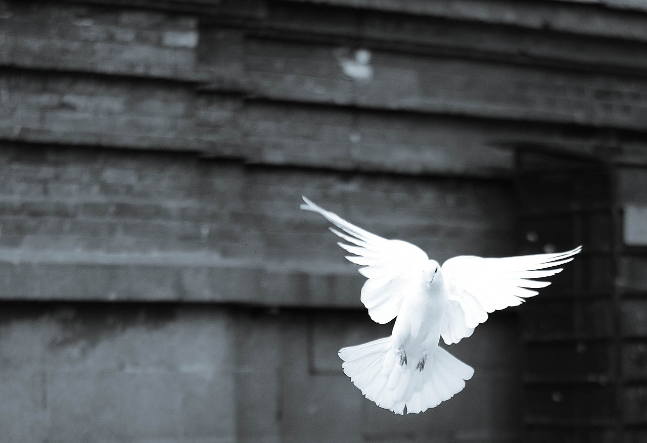 致我们的520,两个人的绿皮火车旅行