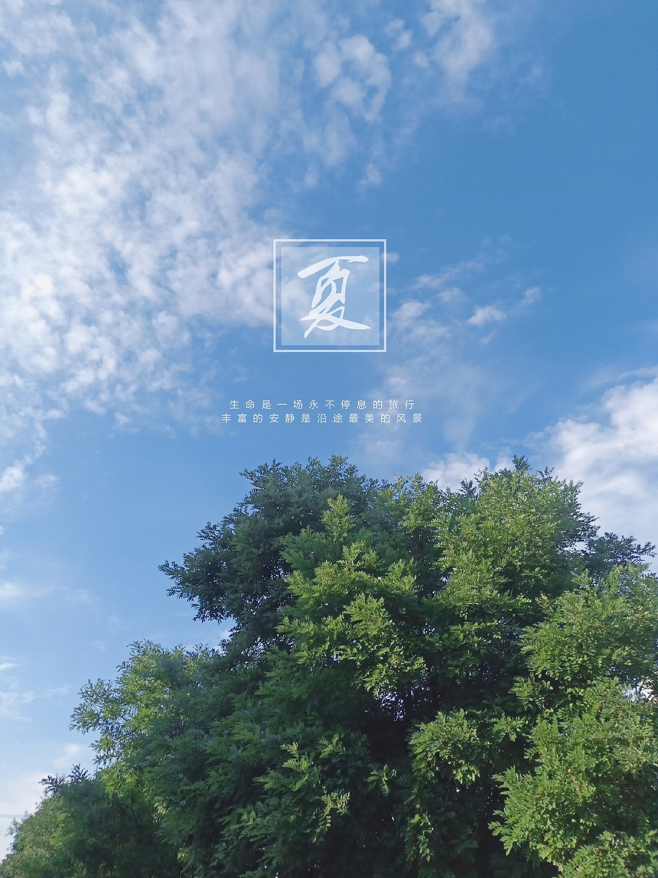 sun（图ZMjIyNTI0ODU2） - 风光摄影 - 站酷设计师宝藏小江原创素材 - 站酷ZCOOL