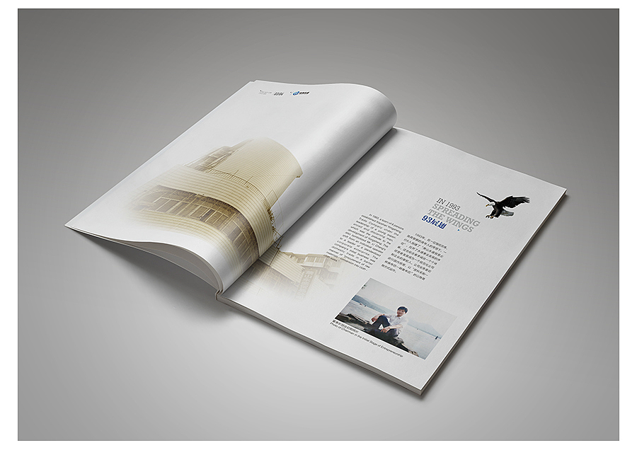 20周年庆 / 画册