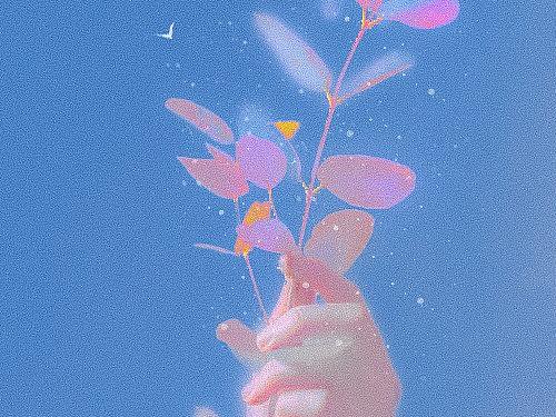 近期图像创作合集