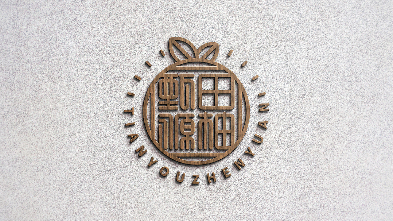 田柚甄源logo设计提案-飞机稿（图ZMTc1MTY1OTY4） - Logo - 站酷设计师黑璞设计原创素材 - 站酷ZCOOL
