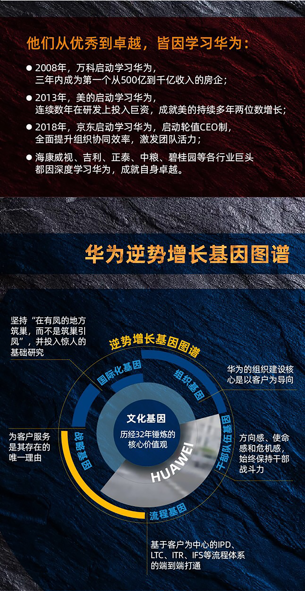 1,华为文化与管理之道 深入洞悉华为以客户为中心的核心价值观的塑造