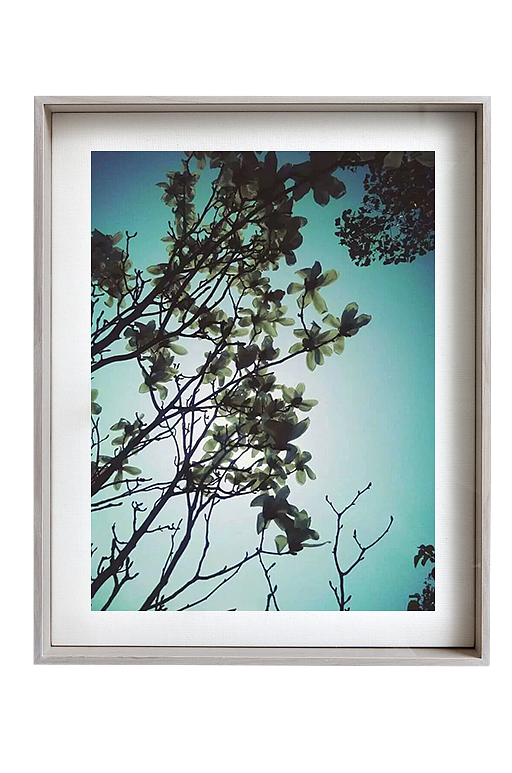 摄影（图ZODYyNzcyODA=） - 产品摄影 - 站酷设计师酱酱饭饭原创素材 - 站酷ZCOOL