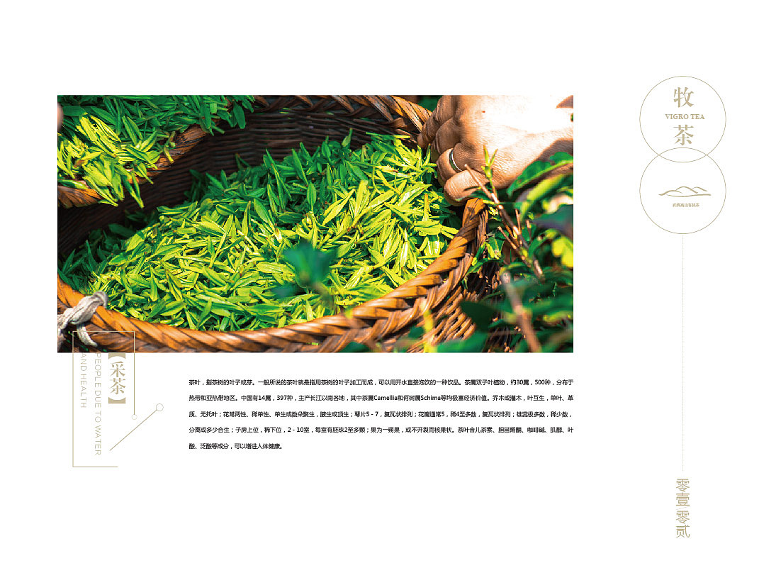 画册-牧茶（图ZMTAwNTQxNTQ0） - 书籍/画册 - 站酷设计师独上西楼一原创素材 - 站酷ZCOOL
