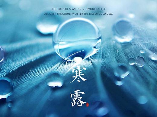 节气/寒露