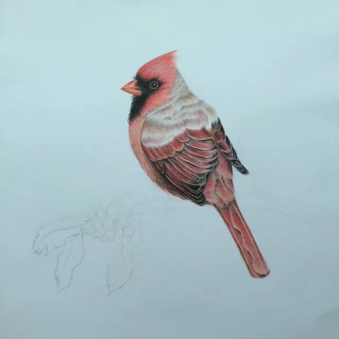 【彩铅作品】小鸟（图ZMTA5NjY5OTA0） - 创作习作 - 站酷设计师夏华刺青原创素材 - 站酷ZCOOL