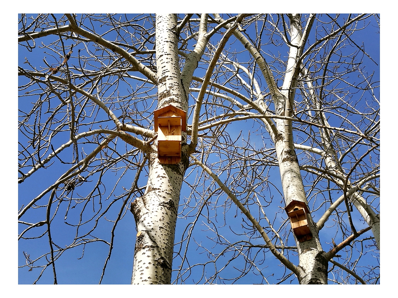 东风公园（图ZNzUzOTU1ODQ=） - 风光摄影 - 站酷设计师苏小兔原创素材 - 站酷ZCOOL