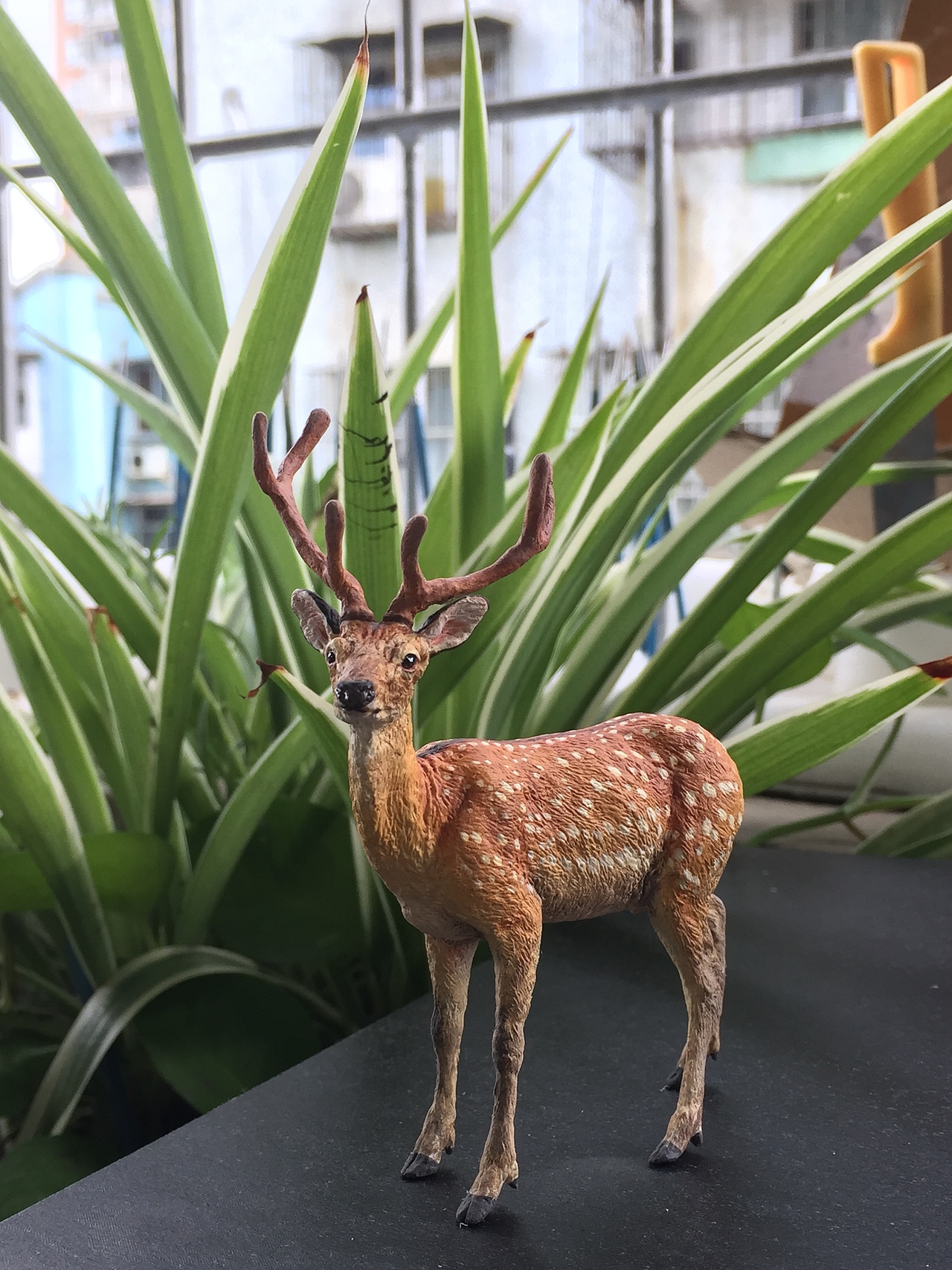 最近完成的一只梅花鹿