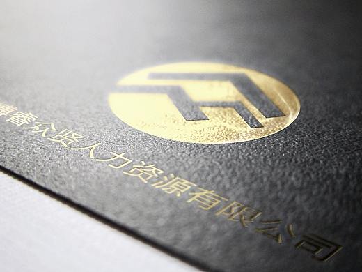 LOGO设计:博睿众贤人力资源