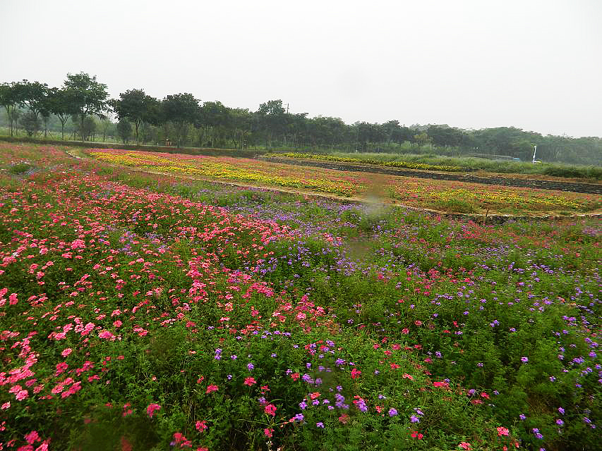 秋季国际慢城乡野风情（图ZMTk1Mjk5ODg=） - 风光摄影 - 站酷设计师zhangping_3636原创素材 - 站酷ZCOOL