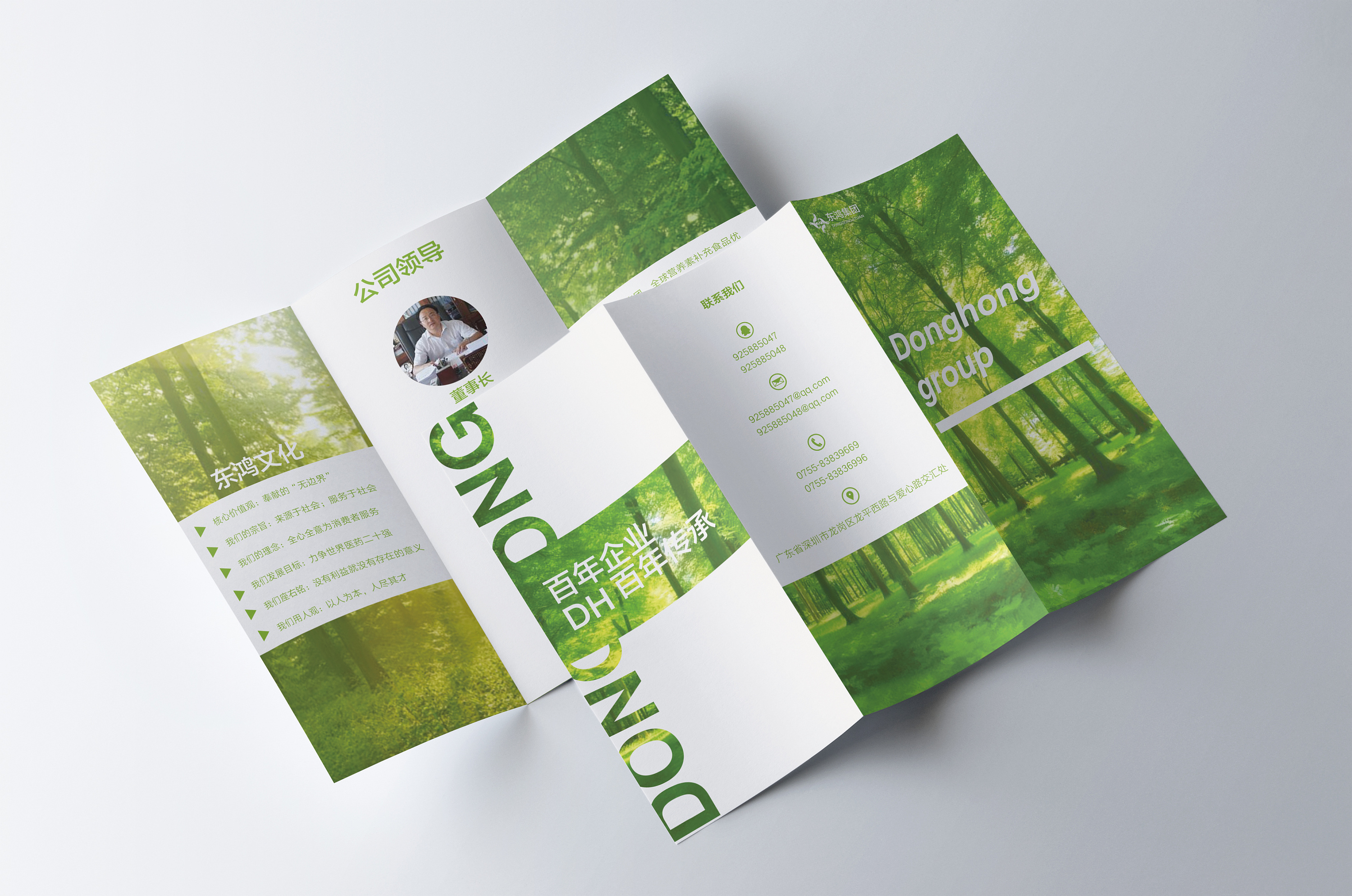 三折页|平面|宣传品|lswwesley - 原创作品 - 站酷 (zcool)