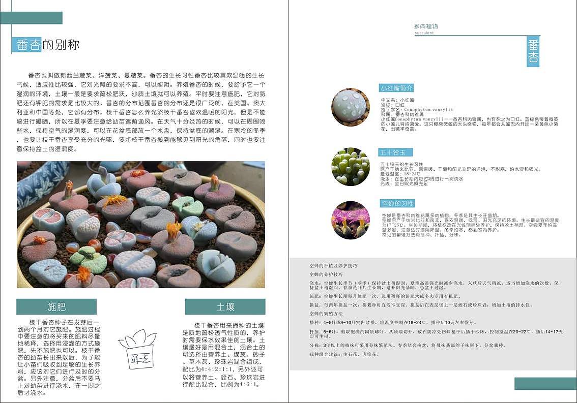 胖一点多肉手册（图ZMTY5NDAxNzQ4） - 书籍/画册 - 站酷设计师纸袋原创素材 - 站酷ZCOOL