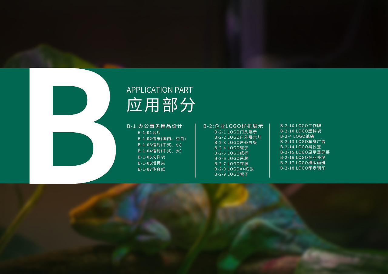 蜥蜴宠物店VI设计