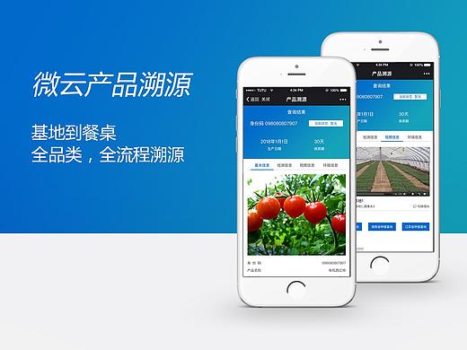 溯源/追溯/食品安全  移动端/微信端界面