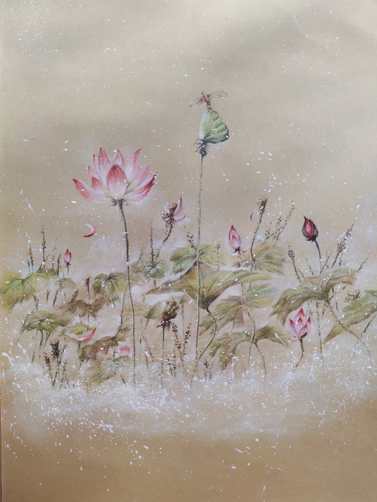 原创彩铅-《荷》