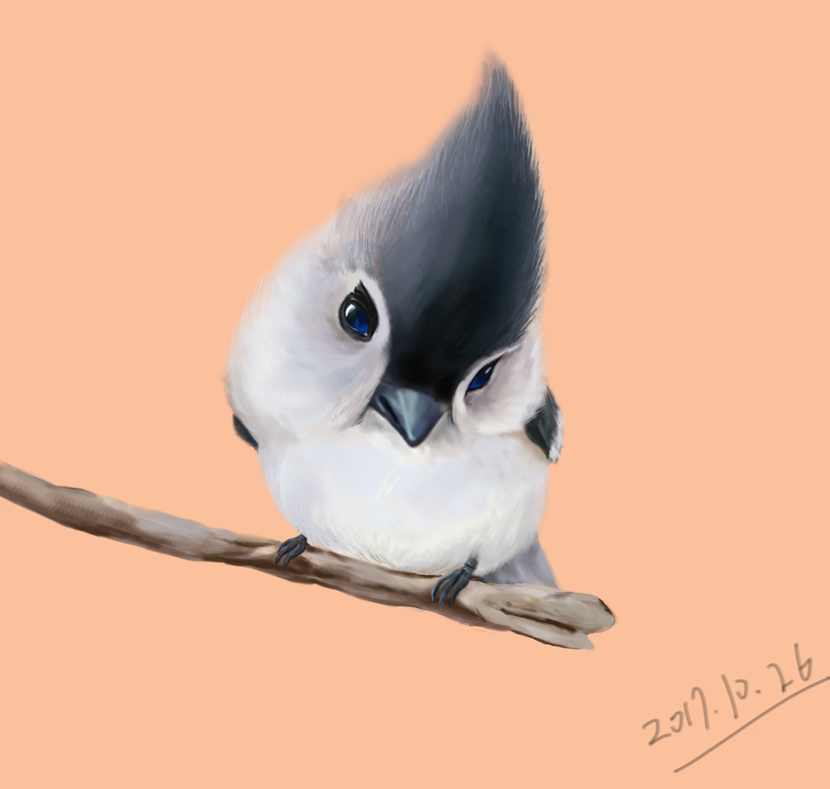 鸟|插画|创作习作|飞飞爱美丽_临摹作品-站酷zcool