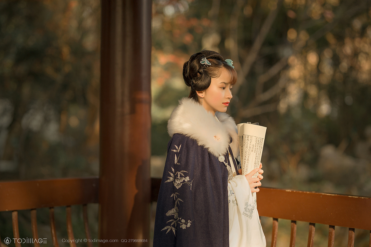 古风人像《阅秋图》