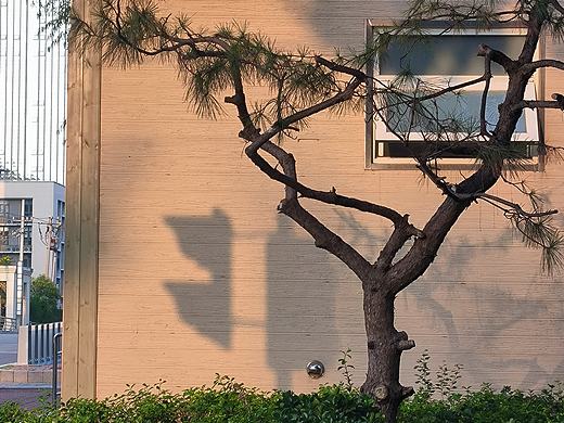 太阳落下前的画面
