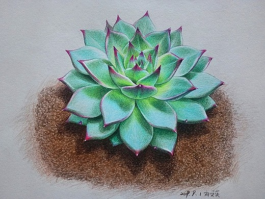 彩铅画樱桃翡翠