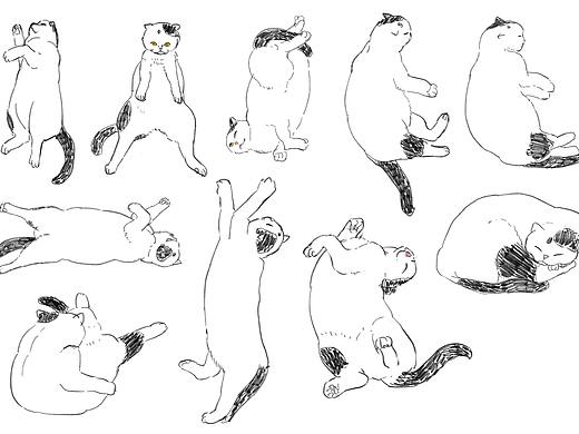 猫猫十式