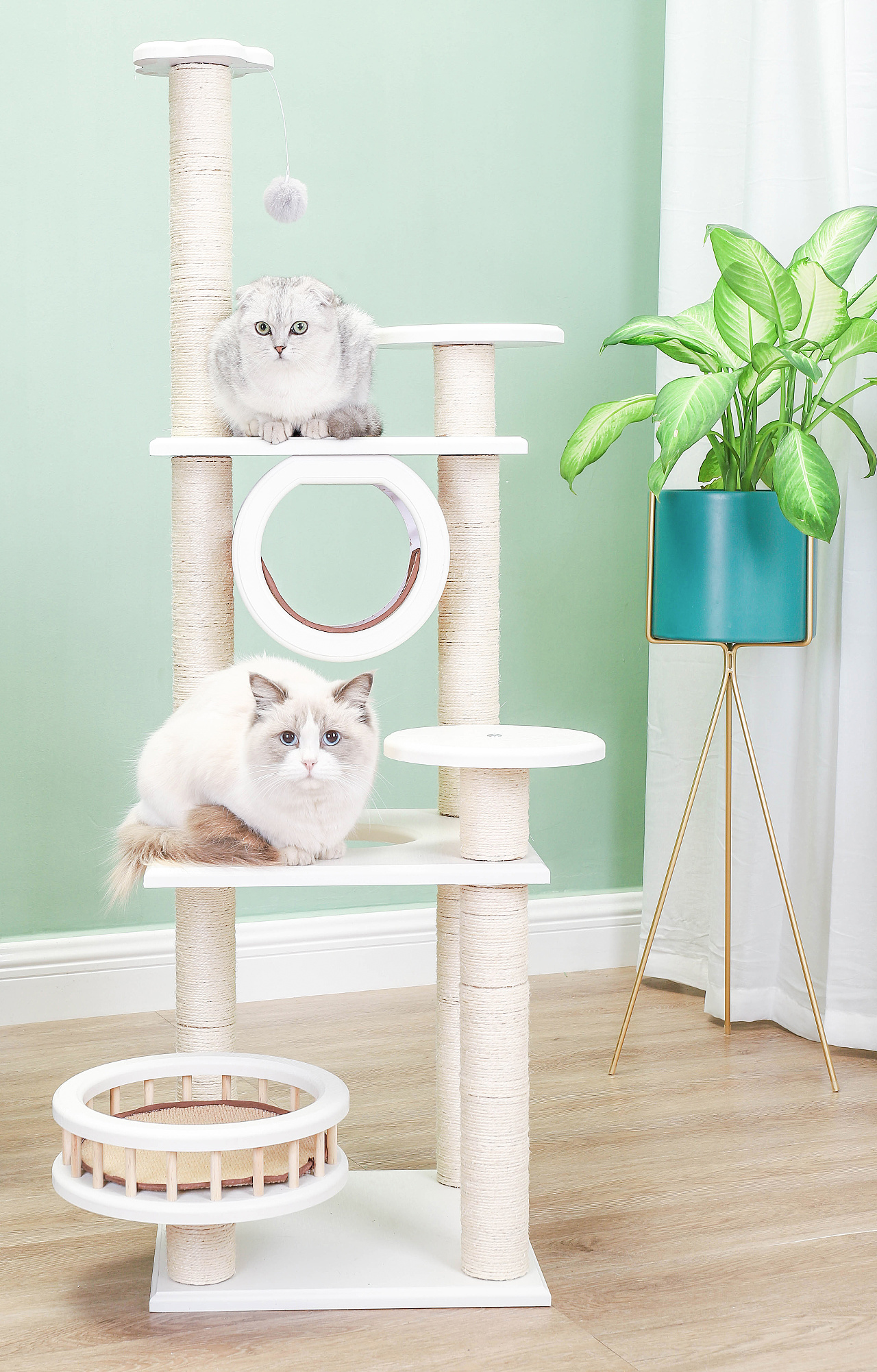 猫爬架的升级版:猫上树！