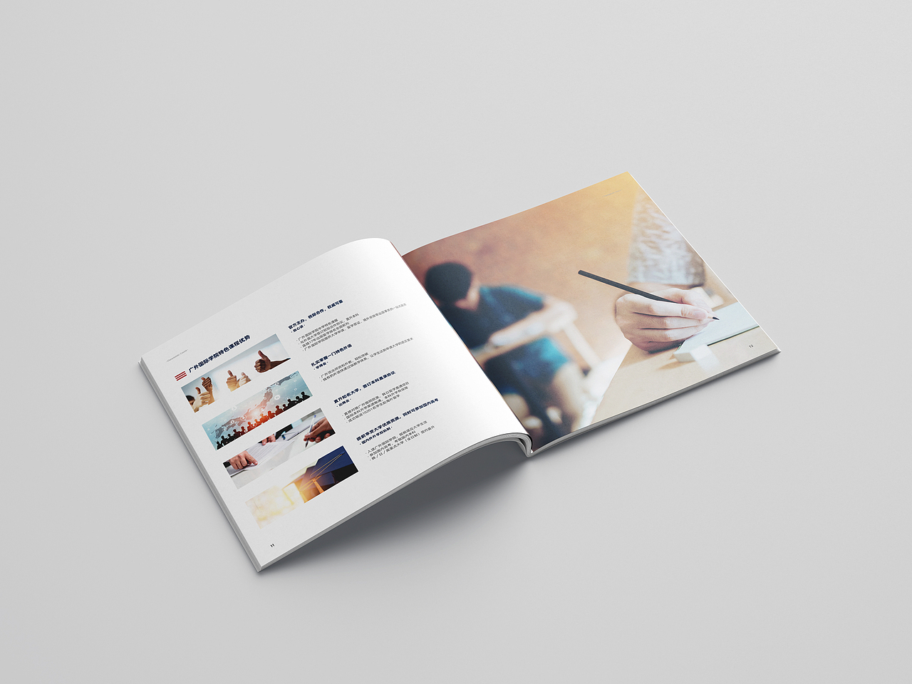 教育学校宣传画册设计