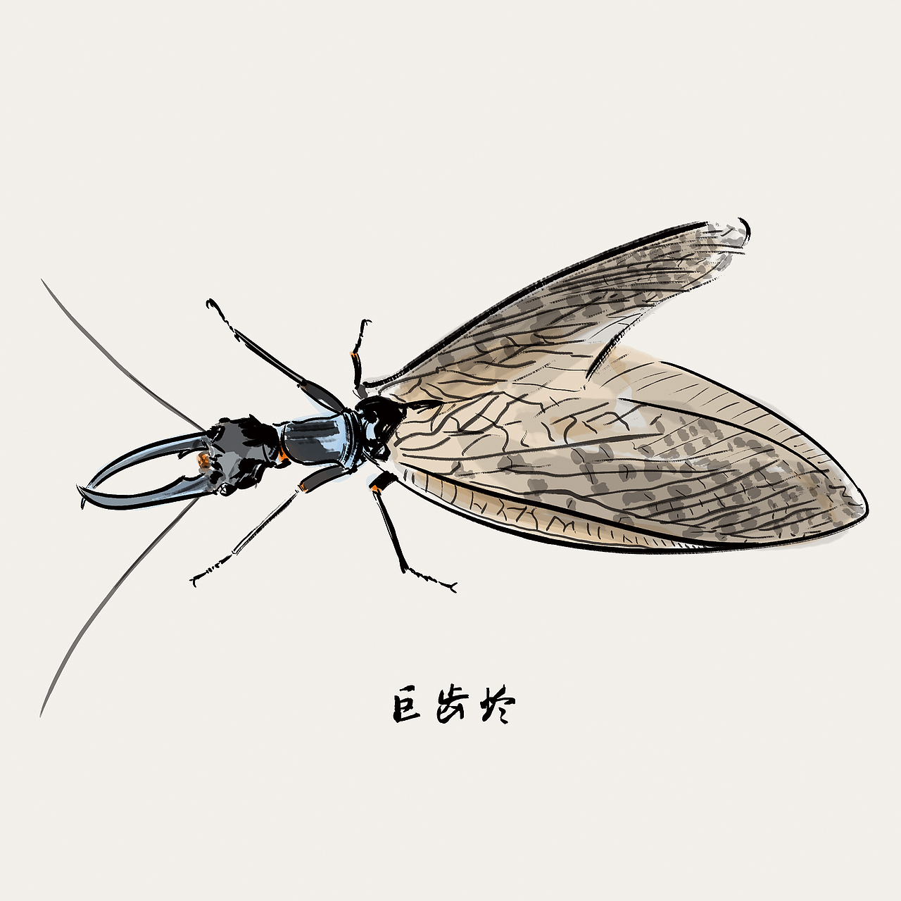 100张水墨甲虫