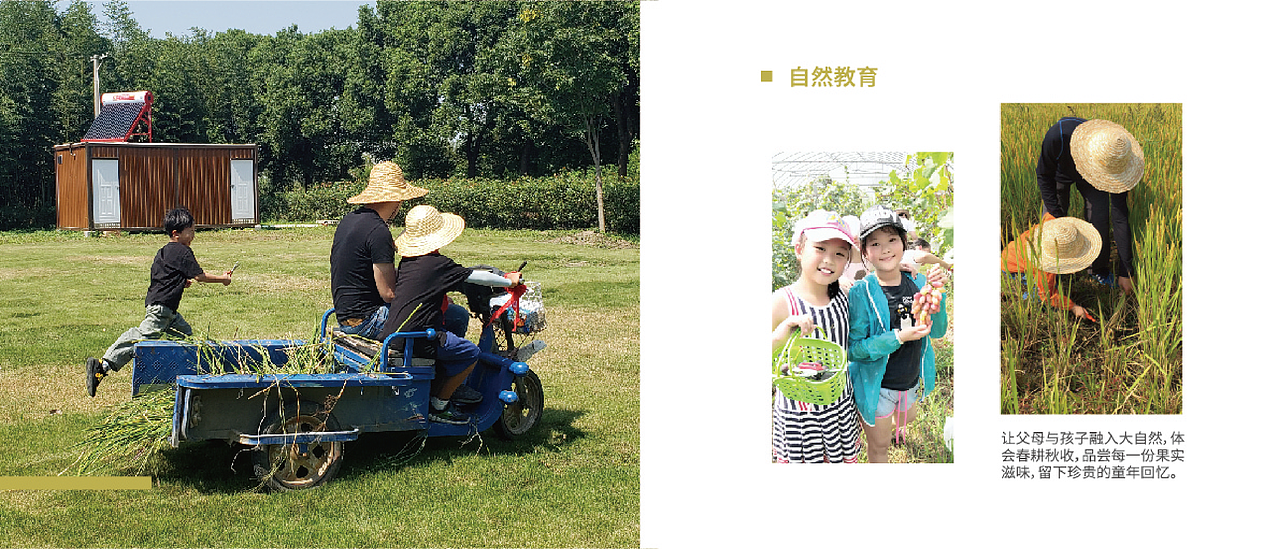 农场画册（图ZMTcyNjc3Mzgw） - 书籍/画册 - 站酷设计师Amber与盐原创素材 - 站酷ZCOOL