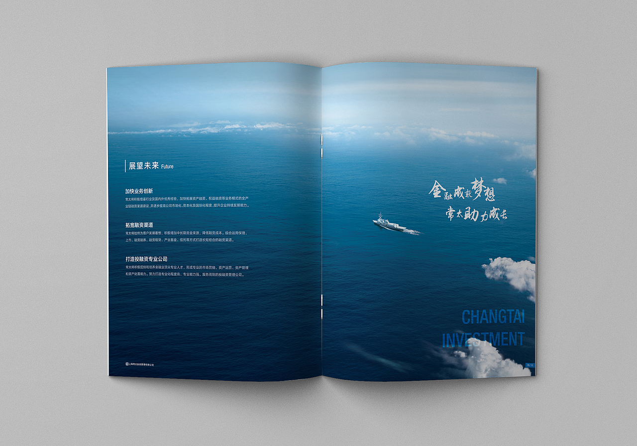上海常太投资公司形象画册