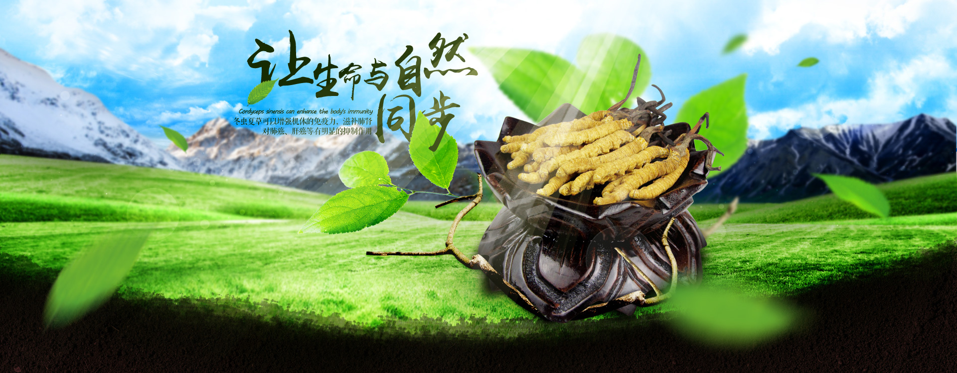 滋补品淘宝首页 清新绿色的版面