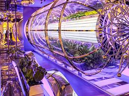 购物中心美陈布景 奢